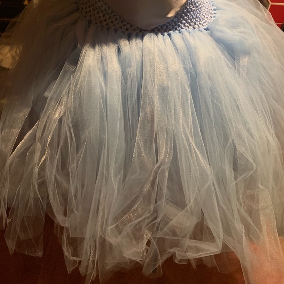 Amazing Handmade Cinderella Costume - Picture 3 of 4